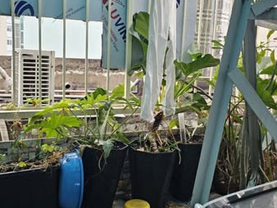 Nhà đường tô hiến thành quận 10 phường 13. 2