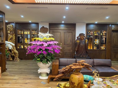 Biệt thự kst sài đồng, vỉa hè, kinh doanh, dt270m2 mặt tiền 20m, 4 tầng giá nhỉnh 55 tỷ 1