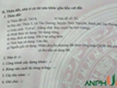 Cần bán lô đất đẹp tại thôn 5 xã Tân Dương, huyện Thủy Nguyên, Hải Phòng 0