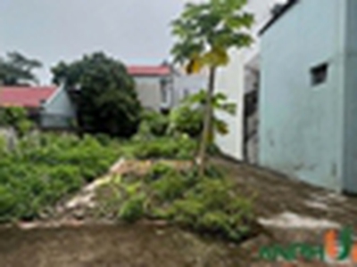 Cần bán lô đất đẹp tại thôn 5 xã Tân Dương, huyện Thủy Nguyên, Hải Phòng 2