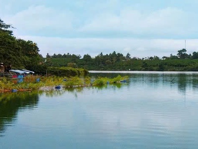 Cơ hội đầu tư vàng - biệt thự sang trọng gần 500m2 tại bùi thị xuân, p1, bảo lộc, lđ, 21 tỷ vnd 2