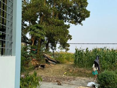 Đất đẹp - giá tốt - vị trí đắc địa tại xã thuỷ xuân tiên, huyện chương mỹ, tphn 1