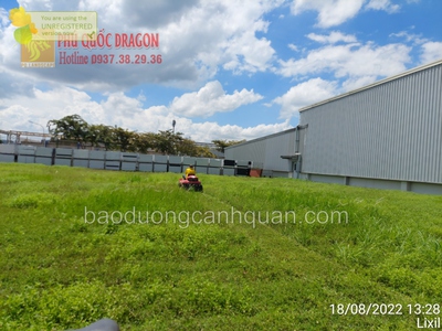 Dịch vụ cắt cỏ phát cỏ trọn gói ở Đồng Nai, HCM 0