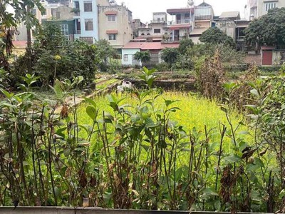 Chính chủ cần bán lô đất nền gần chợ quỳnh đô, xã vĩnh quỳnh, thanh trì, hà nội 3