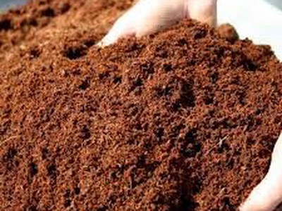 Cung cấp đất màu tươi xốp tại Đồng Nai, Long An giá rẻ 0