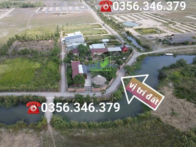 Nhà vườn Nhơn Trạch 3 mặt tiền, giáp sông mát mẻ, đủ cây ăn trái. 0