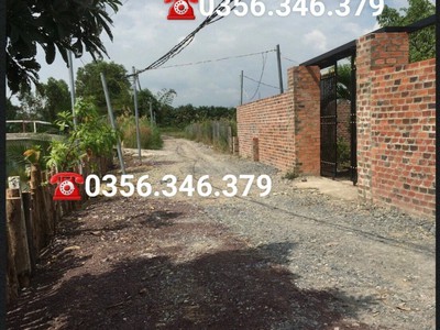 Nhà vườn Nhơn Trạch 3 mặt tiền, giáp sông mát mẻ, đủ cây ăn trái. 3