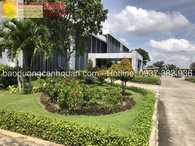 Chăm sóc cảnh quan sân vườn, nhà máy ở Đồng Nai 0