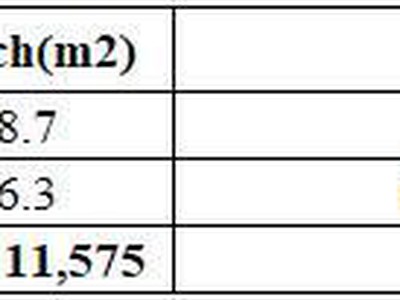 Cơ hội đầu tư đất vàng 11.574 m2 tại Tân Uyên, Bình Dương 1