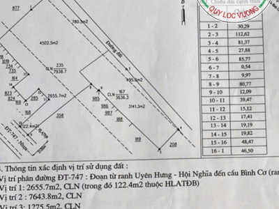 Cơ hội đầu tư đất vàng 11.574 m2 tại Tân Uyên, Bình Dương 2