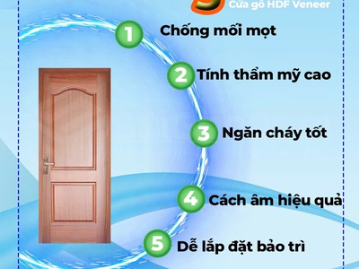 Ưu Điểm Vượt trội Của Cửa Gỗ Công Nghiệp HDF 1