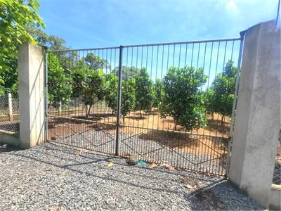 Kẹt tiền sang gấp 2 mãnh  2.737m2  đất shr mt đường xe tải liền kề cụm kcn, chợ giá 185 tr 1
