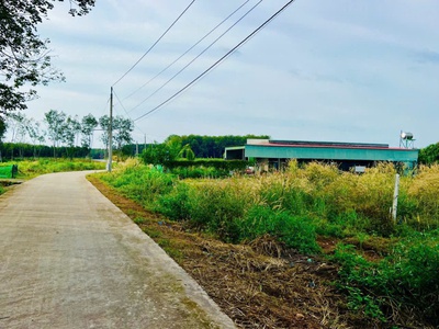 Bán lô đất 1621m 100m thổ cư tại Đồng Phú Giá chỉ 275 triệu bán nguyên lô 3