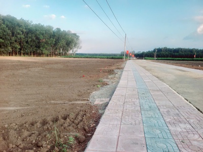 Bán lô đất 1621m 100m thổ cư tại Đồng Phú Giá chỉ 275 triệu bán nguyên lô 0