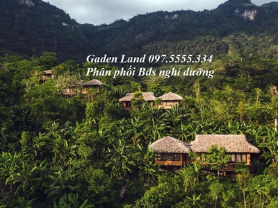 Garden land là đơn vị chuyên phân phối bđs nghỉ dưỡng tại ba vì giá từ 2 tỷ đến 50 tỷ. hotline: 3