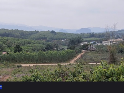 Sở hữu vị trí cực đẹp và đáng để đầu tư nhất khu vực huyện thanh sơn - thanh thủy 1