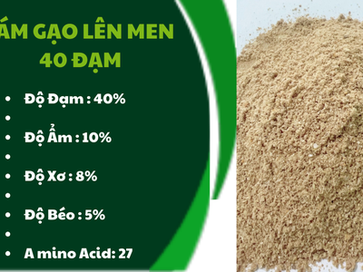 Cám Gạo Lên Men 40 Đạm 0