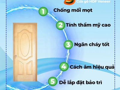 Cửa gỗ HDF Veneer Saigondoor 0