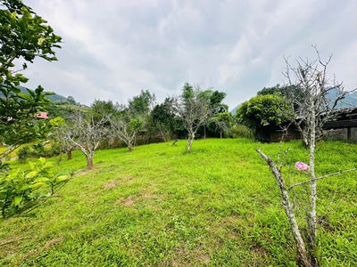 Bán Đất 700m  Tại Mộc Châu   Vị Trí Đẹp, Gần Thác Dải Yếm, Thích Hợp Kinh Doanh Homestay   Coffee 6