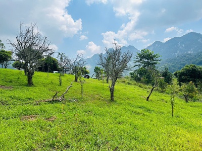 Bán Đất 700m  Tại Mộc Châu   Vị Trí Đẹp, Gần Thác Dải Yếm, Thích Hợp Kinh Doanh Homestay   Coffee 1