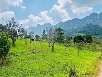 Bán Đất 700m  Tại Mộc Châu   Vị Trí Đẹp, Gần Thác Dải Yếm, Thích Hợp Kinh Doanh Homestay   Coffee 2