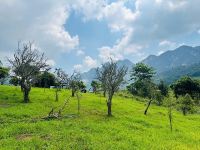 Bán Đất 700m  Tại Mộc Châu   Vị Trí Đẹp, Gần Thác Dải Yếm, Thích Hợp Kinh Doanh Homestay   Coffee 5