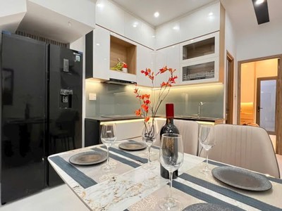 Villa mini đẹp lộng lẫy -hải phòng -hải châu - giá chỉ 4,98 tỷ 3