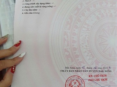 Do vỡ nợ kinh doanh, chính chủ kẹt tiền ngân hàng nên cần bán trong tuần lô đất mặt tiền lớn đường 2