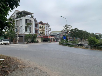 Bán đấu giá sơn du nguyên khê 8x 3