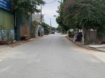 Bán đấu giá sơn du nguyên khê 8x 0
