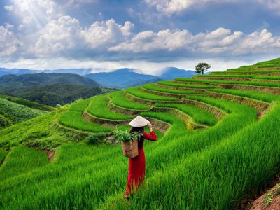 Vietnam Family Tour Package - A Journey of 16 Memorable Days 0