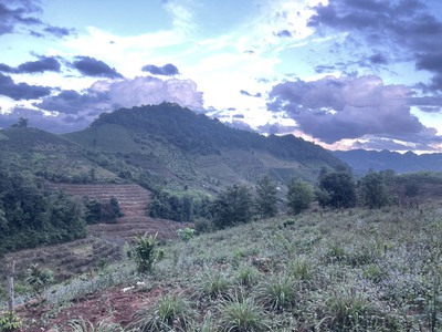 Bán Đất 8000m  Tại Bản Vặt, Mộc Châu   Mặt Tiền 130m, View Thung Lũng Đẹp, Gần Khu Du Lịch Nổi Tiếng 0