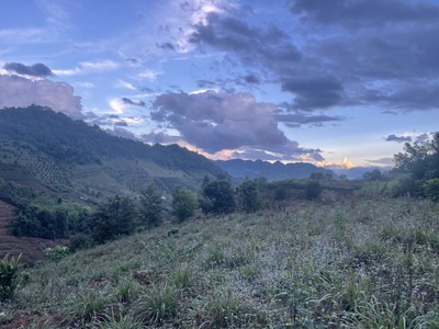 Bán Đất 8000m  Tại Bản Vặt, Mộc Châu   Mặt Tiền 130m, View Thung Lũng Đẹp, Gần Khu Du Lịch Nổi Tiếng 2