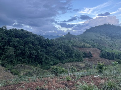 Bán Đất 8000m  Tại Bản Vặt, Mộc Châu   Mặt Tiền 130m, View Thung Lũng Đẹp, Gần Khu Du Lịch Nổi Tiếng 3