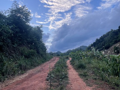 Bán Đất 8000m  Tại Bản Vặt, Mộc Châu   Mặt Tiền 130m, View Thung Lũng Đẹp, Gần Khu Du Lịch Nổi Tiếng 6