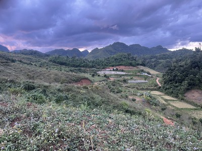 Bán Đất 8000m  Tại Bản Vặt, Mộc Châu   Mặt Tiền 130m, View Thung Lũng Đẹp, Gần Khu Du Lịch Nổi Tiếng 7