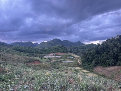 Bán Đất 8000m  Tại Bản Vặt, Mộc Châu   Mặt Tiền 130m, View Thung Lũng Đẹp, Gần Khu Du Lịch Nổi Tiếng 8