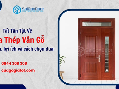 Tất Tần Tật Về Cửa Thép Vân Gỗ: Đặc Điểm, Lợi Ích Và Cách Chọn Mua 1