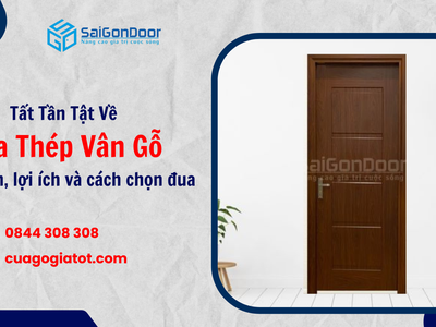 Tất Tần Tật Về Cửa Thép Vân Gỗ: Đặc Điểm, Lợi Ích Và Cách Chọn Mua 2