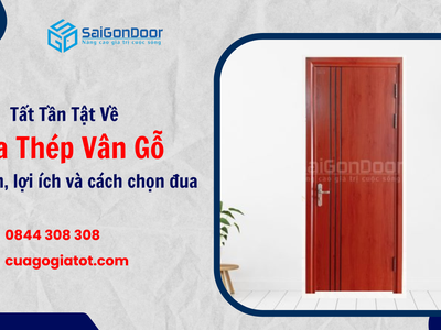 Tất Tần Tật Về Cửa Thép Vân Gỗ: Đặc Điểm, Lợi Ích Và Cách Chọn Mua 3