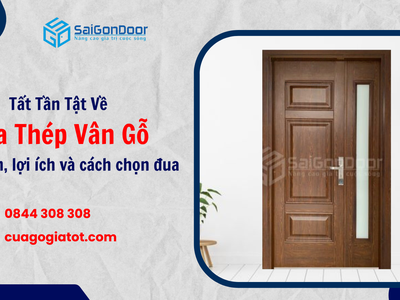 Tất Tần Tật Về Cửa Thép Vân Gỗ: Đặc Điểm, Lợi Ích Và Cách Chọn Mua 4