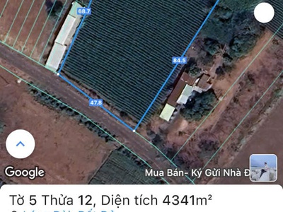 9000mv mt nhựa tim vàng láng dài đất đỏ bà rịa vũng tàu chủ kêu bán 7 tỷ tl 0