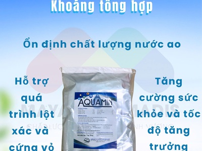 AQUAMIN - Khoáng tổng hợp dùng trong nuôi trồng thuỷ sản 0