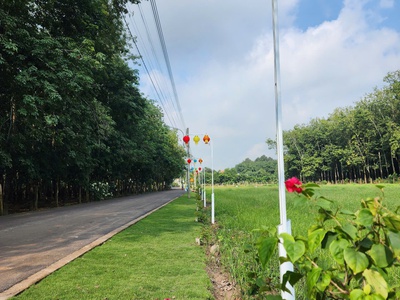 Bán đất bình dương sổ sẵn công chứng ngay chỉ cần 350 triệu 3