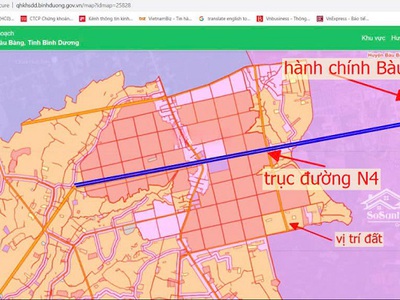 Chính chủ bán hơn 3 hecta đất dự án tại long nguyên, bàu bàng. 2
