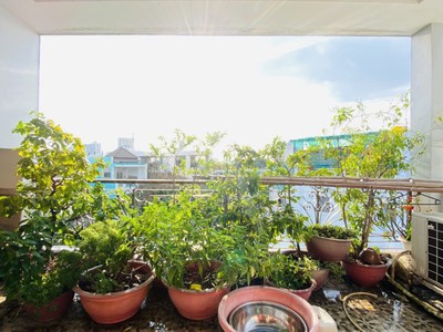 B.Á.N Nhà MT Dạ Nam Quận 8 :   Diện tích: 110m2 công nhận đủ, ngang 3.1m nở hậu tài lộc 7.4m 4