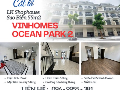 Siêu phẩm Shophouse Sao Biển giá cắt lỗ RẺ nhất Vinhomes Ocean Park 2 0