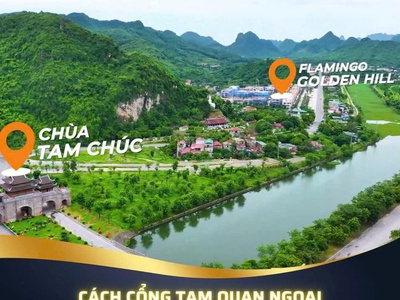 Mở bán biệt thự, shophouse flamingo view hồ tam chúc flamingo golden hill   thành phố thương mại 1