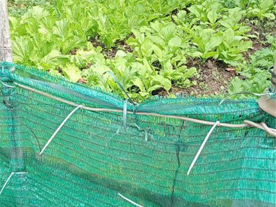 Chính chủ cần bán mảnh đất 1430m tại tt hùng sơn - đại từ. 3