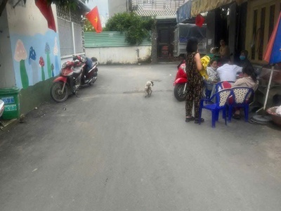 Nhà đẹp xinh dt khủng 5mx11m đường ô tô tải thông ngay chợ gà trần quang cơ 0